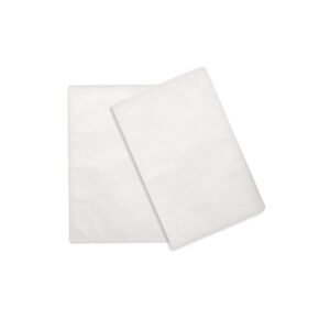 Filtros S9 / AirSense 10 (pack 2)